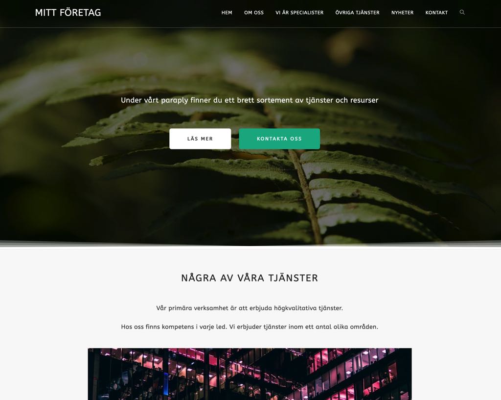 Läs mer om artikeln FÖRETAGET AB lanserar sin verksamhet i Storstaden